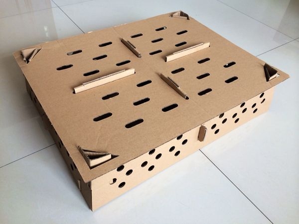 雞苗紙箱